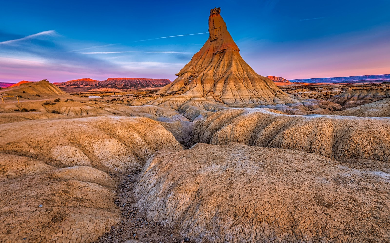 Bárdenas reales